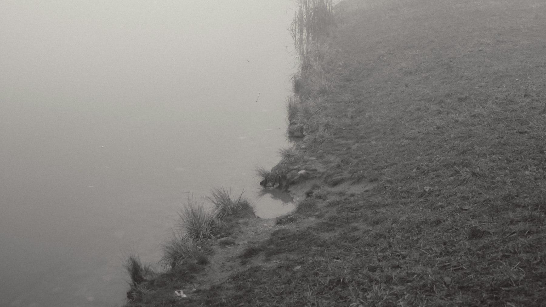 Orilla de r&iacute;o con niebla